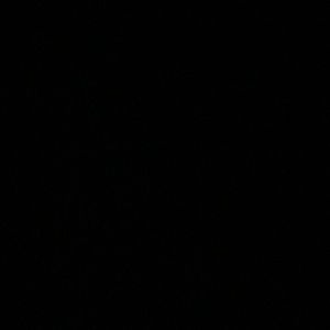 Meet your Posher, Gretchen